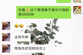 新兴贷款清欠服务